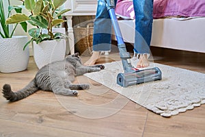 Cleaning house with vacuum cleaner, female with pet cat