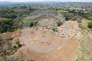 Cleaning land from trees