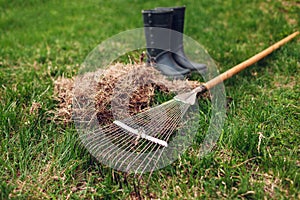 Cleaning lawn from dry grass with a rake in spring garden. Heap of grass with boots and tool