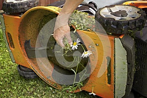 Cleaning Lawn Mower