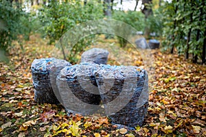 Cleaning leaves in autumn park in city. Dry leaves in plastic bags on ground pathway.