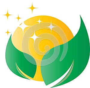 Cleaning and maintenance