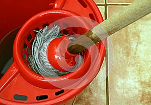 cleaning with mop and bucket