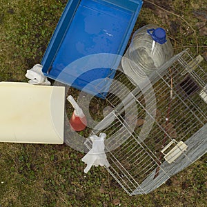 Cleaning Pet Cage