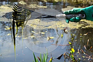 Cleaning a Pond