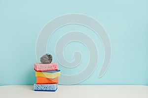 Cleaning procuct sponges on blue background with empty space for text
