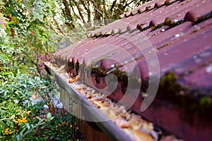 Cleaning roof from leaves - gutter need clean in autumn season