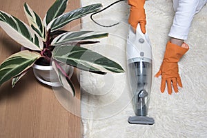 Cleaning service concept at home, apartments, hotels. Maid or housewife cleaning room