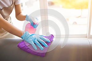 Cleaning staff is wiping cloth with cleaner and disinfectant on the surface of sofa to make the sofa clean with cleaning products