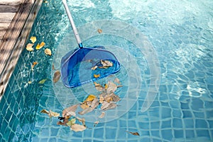 Cleaning swimming pool of fallen leaves with blue skimmer