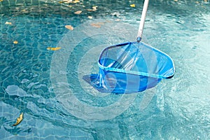 Cleaning swimming pool of fallen leaves with blue skimmer net