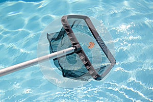 Cleaning swimming pool with net skimmer