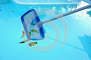 Cleaning swimming pool with scoop net , pool water maintenance