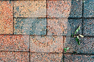 Cleaning of tiles in the garden with pressure washer