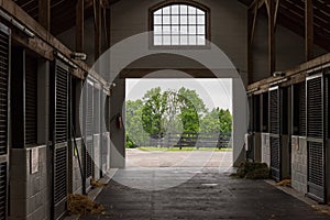 Cleaning Time in Horse Barn