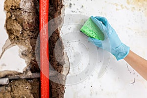 Cleaning up dangerous fungus from a wet wall after water pipe leak