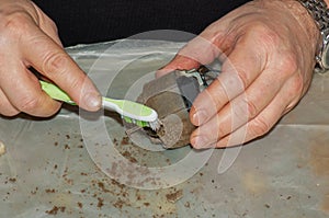 Cleaning a very dirty kitchen exhaust fan from dirt with a brush. A man cleans the parts of a fan with a brush