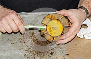 Cleaning a very dirty kitchen exhaust fan from dirt with a brush. A man cleans the parts of a fan with a brush