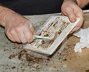 Cleaning a very dirty kitchen exhaust fan from dirt with a brush. A man cleans the parts of a fan with a brush