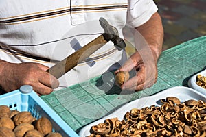 cleaning walnuts on the street