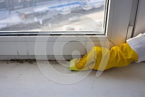 Cleaning the window sill from mold and dirt. Copy space.