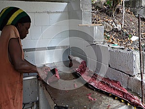 Cleaning a yellowfin tuna in the caribbean