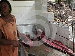 Cleaning a yellowfin tuna in the caribbean