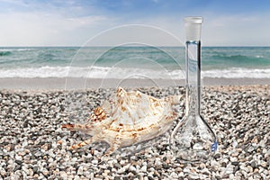 Cleanliness, ecology. Glass bulb and seashells on the seashore