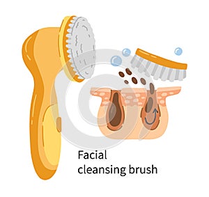 Cleansing facial brush vector illustration with layers of dermis and pores photo