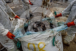 Cleanup crews fill bags with oiled sand and debris after a pipeline spilling oil into an