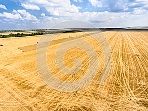 Clear agricultural field after cropping, yellow wheat lands with farming machinery, aerial view, Russia