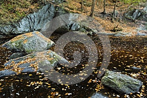 Clear amber pool with floating leaves, at Enders State Park, Con