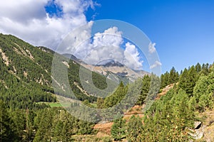 Clear autumn day on ideal for trekking Bardoney valley Valle di Bardoney coated with forests and meadows. Gran Paradiso