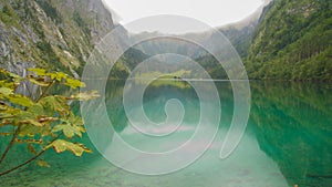 Clear blue lake with maple tree in alpine panorama