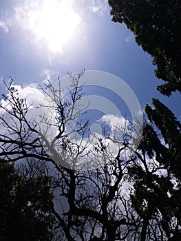 Clear blue skies & clouds