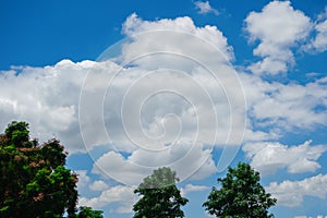 Clear blue skies with large white clouds on a sunny day with trees