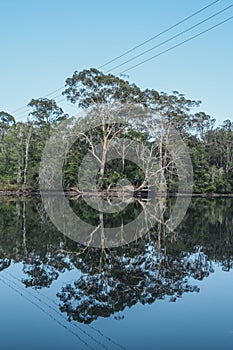 clear blue skies reflecting on a lake, surrounded by trees