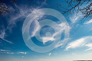 A clear blue sky backgrounds with clouds and tree branches