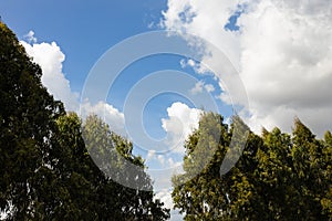 Clear blue sky with clouds