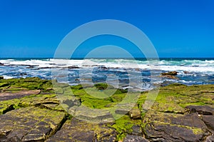 Clear blue sky, ocean and rock covered with algae, moss
