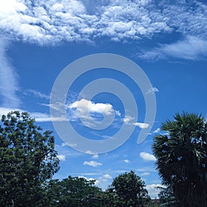 Clear blue sky in summer