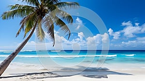 Clear blue sky on white sand ocean beach with palm tree wide background and copy space