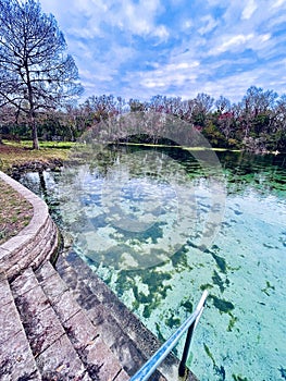 Clear blue spring waters surrounded by trees in winter, Alexander Springs, Ocala National Forest, Florida