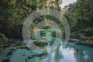 Clear blue water at Rock Springs Run in Kelly Park in Apopka, Florida