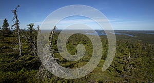 Clear and calm summer morning on the summit of Iivaara hill