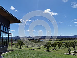 Clear clouds at the sky