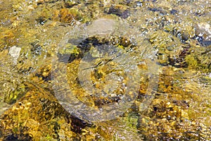 Clear cold mountain water in a stream, background, selective focus.