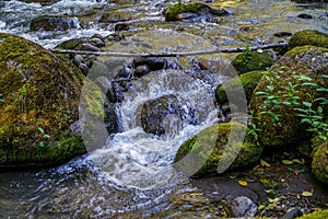 The Clear and Cold Waters