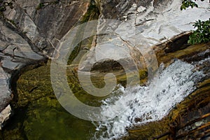 A Clear Creek at the Golden Snub-nosed Monkeysâ€™ Habitat