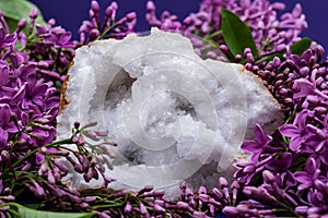 Clear Crystal Quartz Geode with crystalline druzy center surrounded by purple lilac flower.